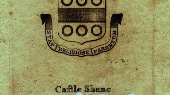 The Lucas coat of arms. Image: Castleshane History