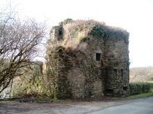 Shippool Castle (www.innishannonschool.com)